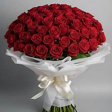 Букет 101 Красная роза Блэк Мэджик в Манычском