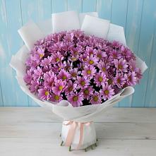 Букет цветов из:  Хризантемы в Манычском