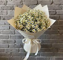Букет цветов из:  Ромашки в Манычском