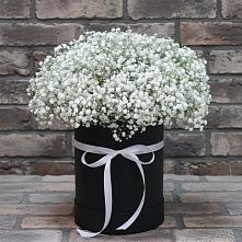 Цветочная композиция из Гипсофила в шляпной коробке в Манычском